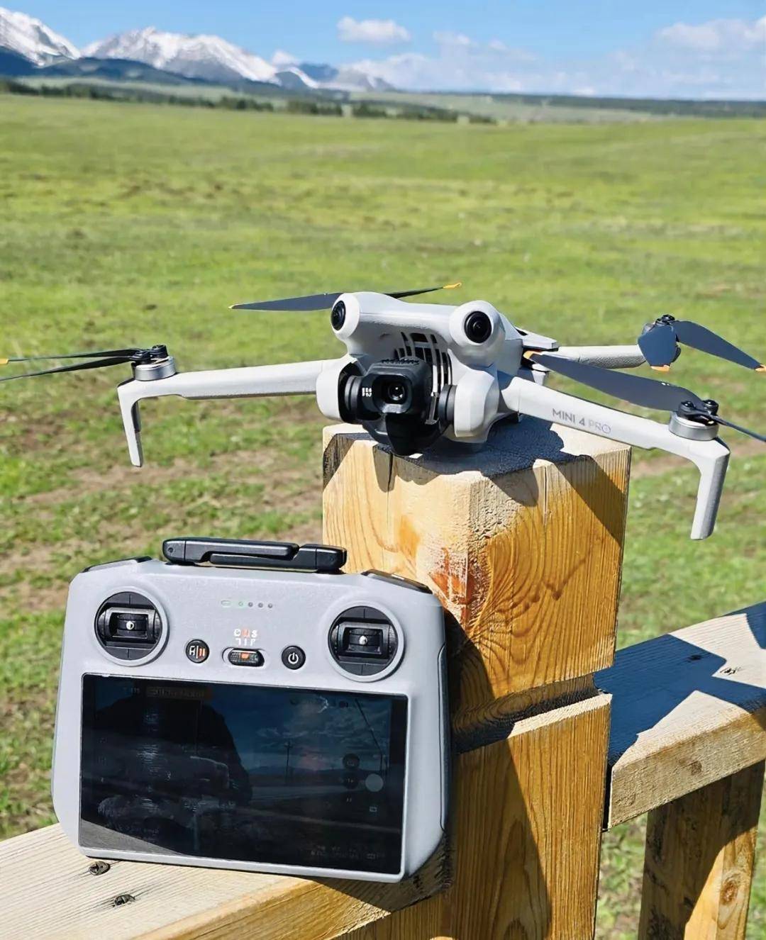 轻人靠“租”爆改十一假期冰球突破游戏网站抠门的年(图6)